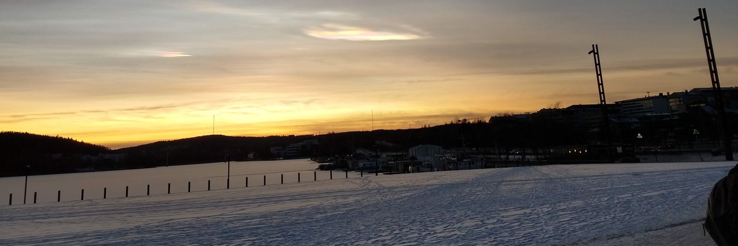 Irene Hartmann banner