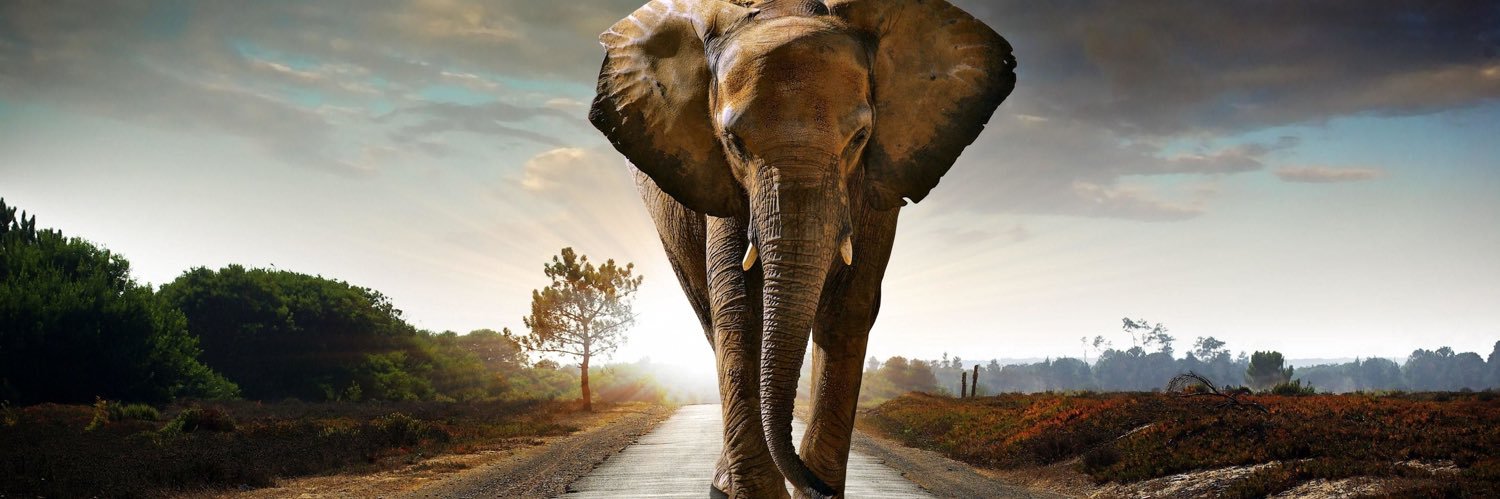 jerome rasberry jr banner