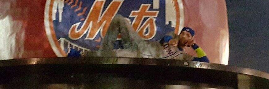 Mrmet8675's profile banner image