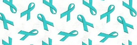 Meghan Kolb banner