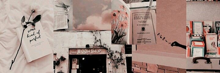 beafalcone's profile banner image