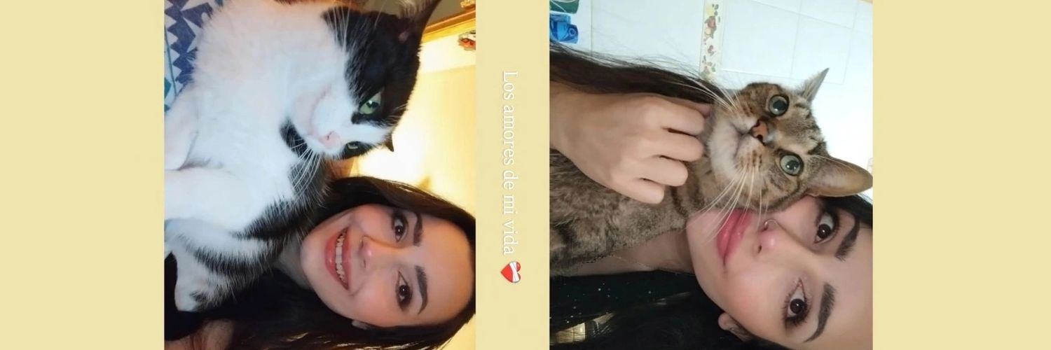 SusanaSS8's profile banner image