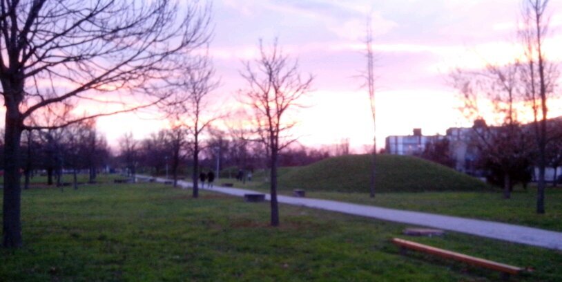 AnnaPallotti's profile banner image