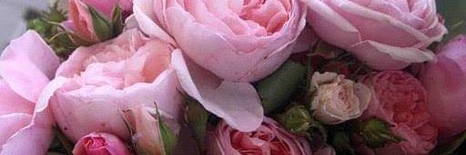 2Mon_Amie's profile banner image
