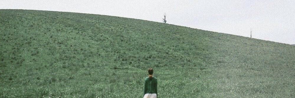 ˙¯˙ııuɐԀᴿᵃⁱⁿʸ banner