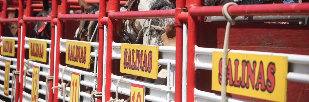 California Rodeo banner