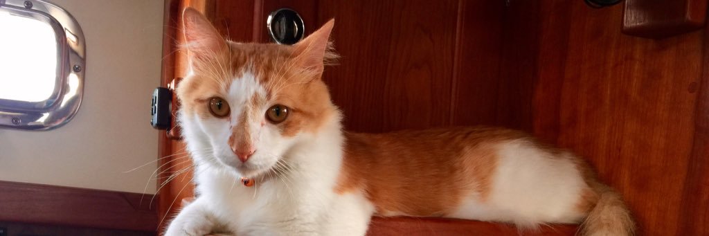 MarmandT's profile banner image
