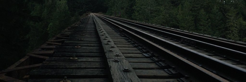 Greendvy's profile banner image