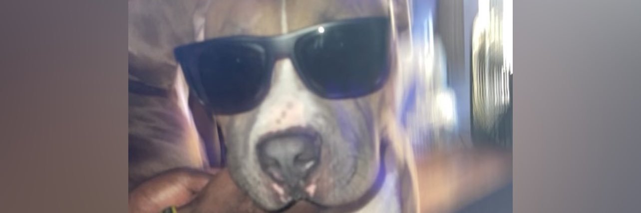 teejay. banner