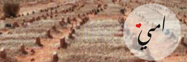 جمال خيرالله 🟥 banner