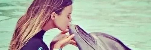 Jamaica Devero | ETHGas ⛽ banner