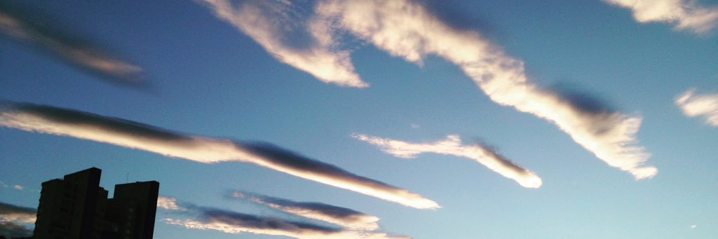 cedlage's profile banner image