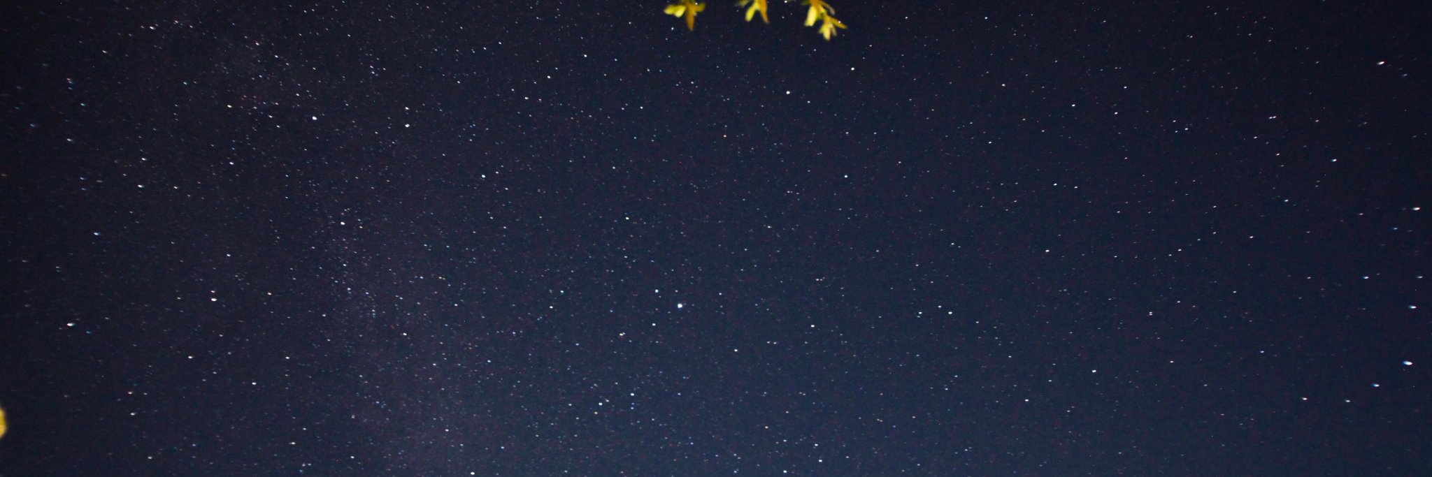 moithieu's profile banner image