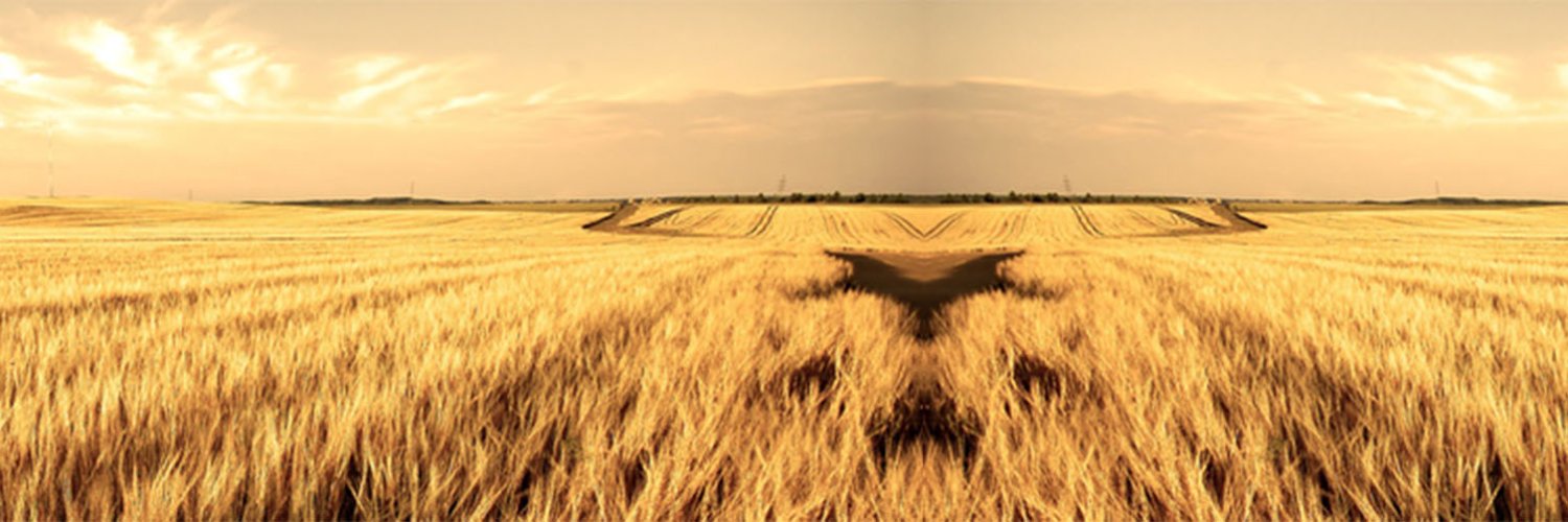 randa ilah | ETHGas ⛽ banner