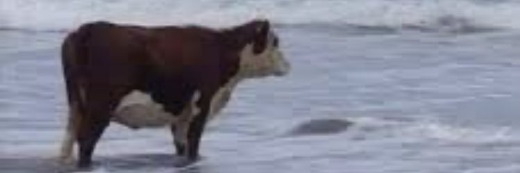 DocsThots's profile banner image