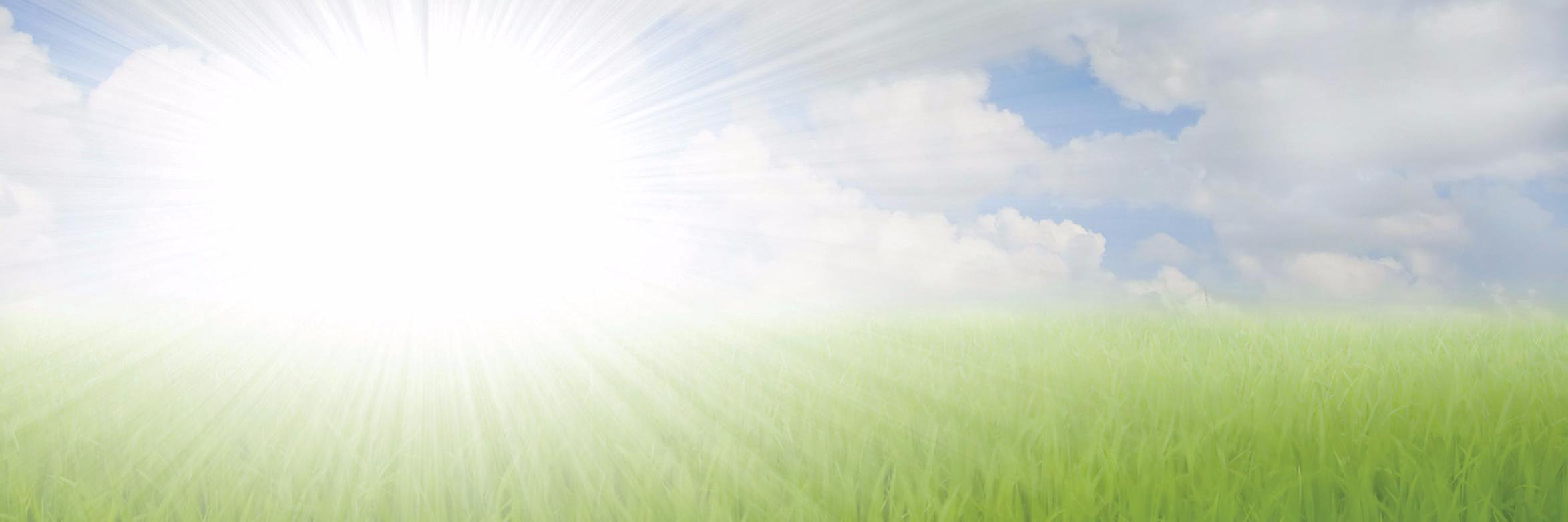 The Greener Cleaner banner