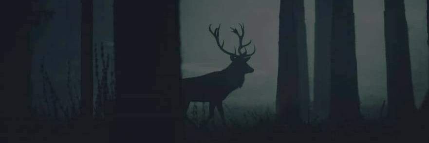 TJunior's profile banner image