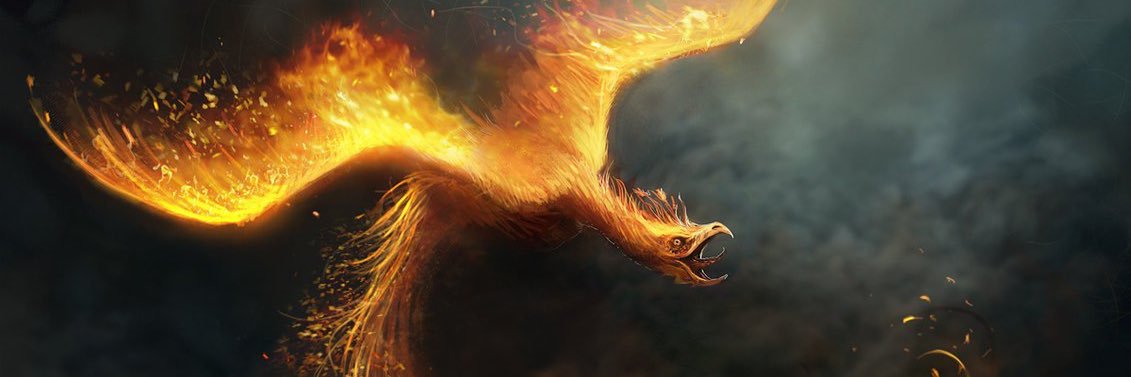 Tenayuco banner
