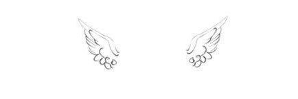 oococooc's profile banner image