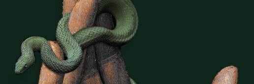 cristina's banner