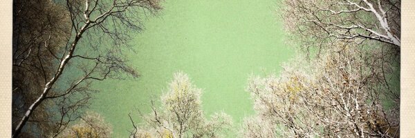 HarroldTim Profile Banner