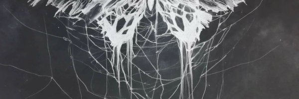 Cehaime Profile Banner