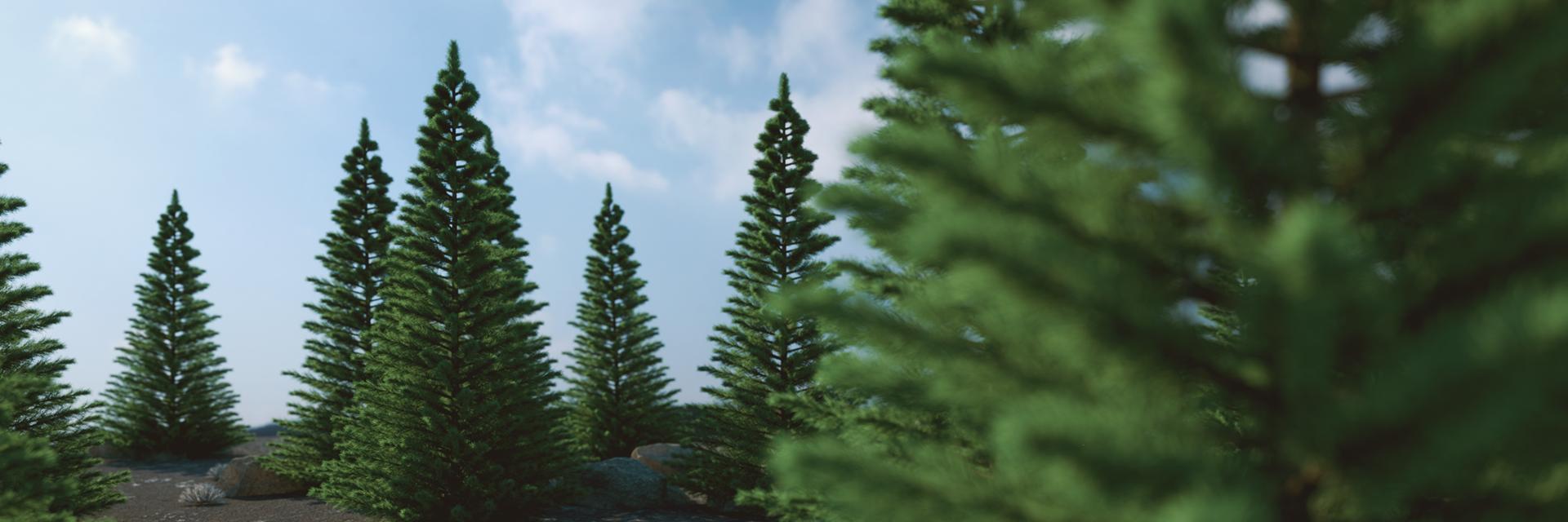 ubenny43's profile banner image