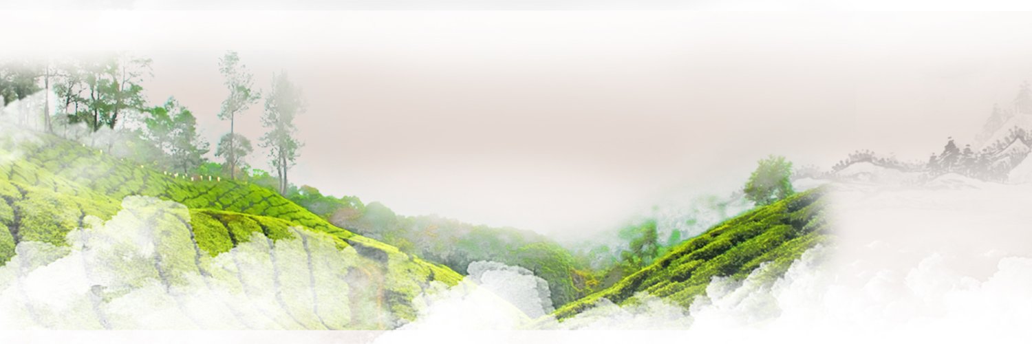 sofi6b17's profile banner image