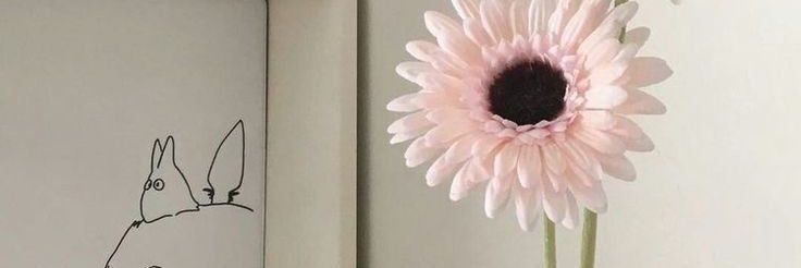 egh_yuri's profile banner image