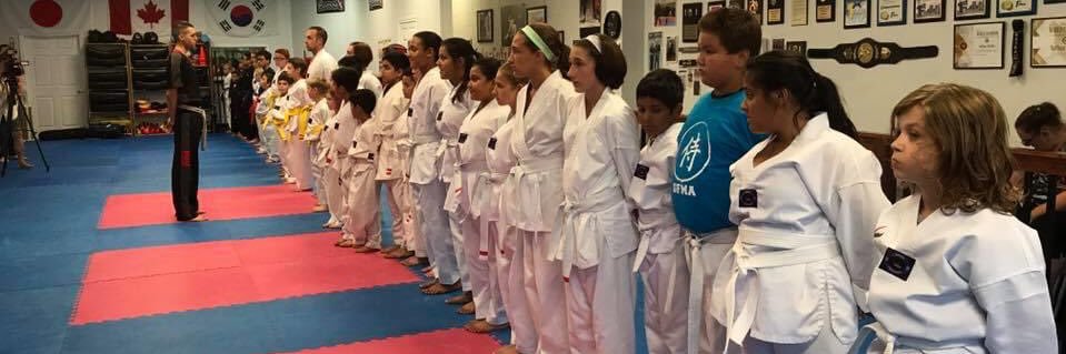 GFMA MARTIAL ARTS banner