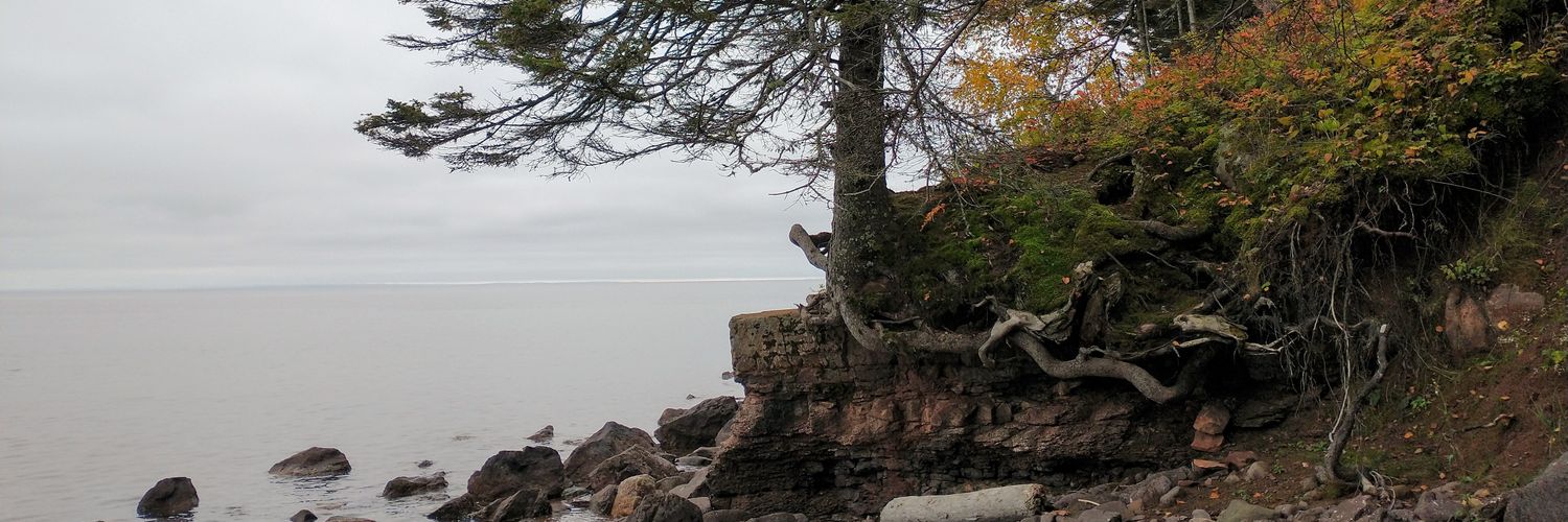 mcnamx's profile banner image