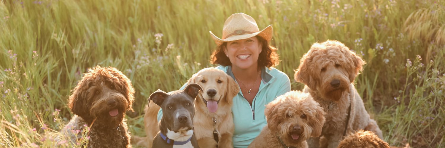 AlysonRodges's profile banner image