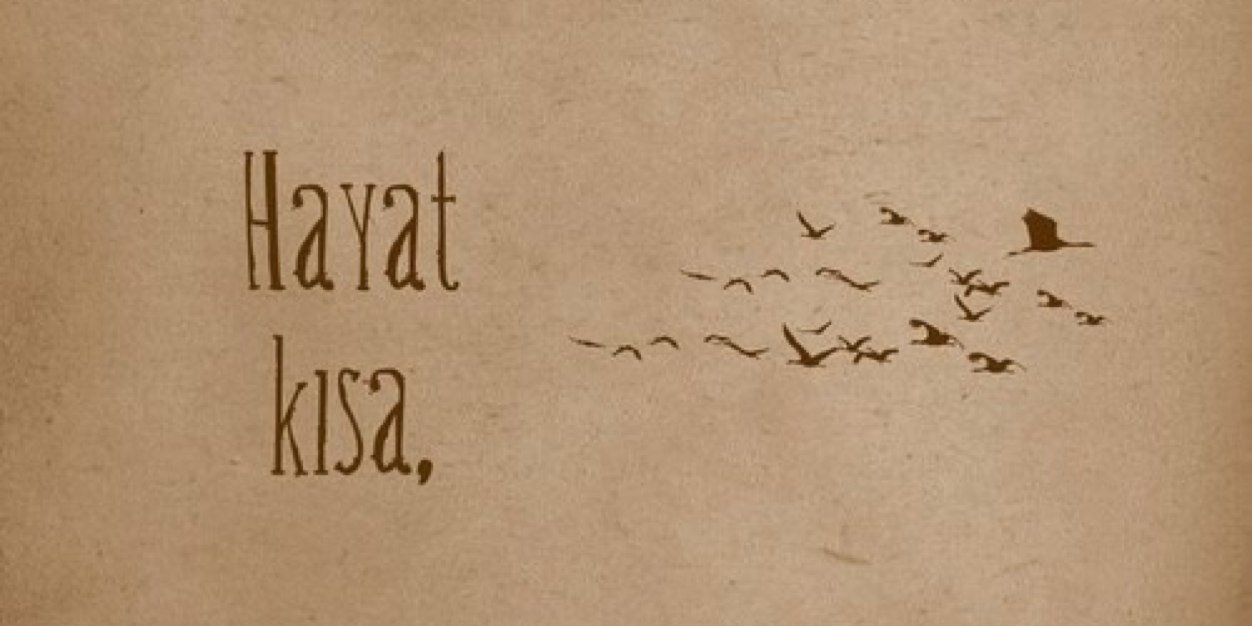 mdolmaciTR's profile banner image