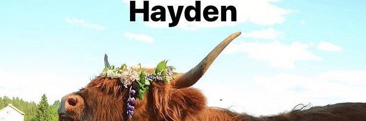 Hayden Cox banner