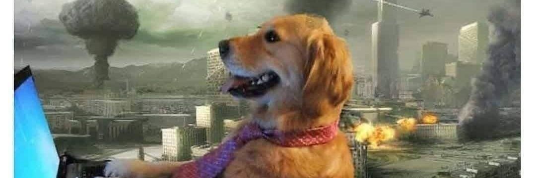 ritwikva's profile banner image