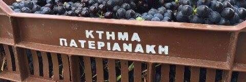 Paterianakis's profile banner image