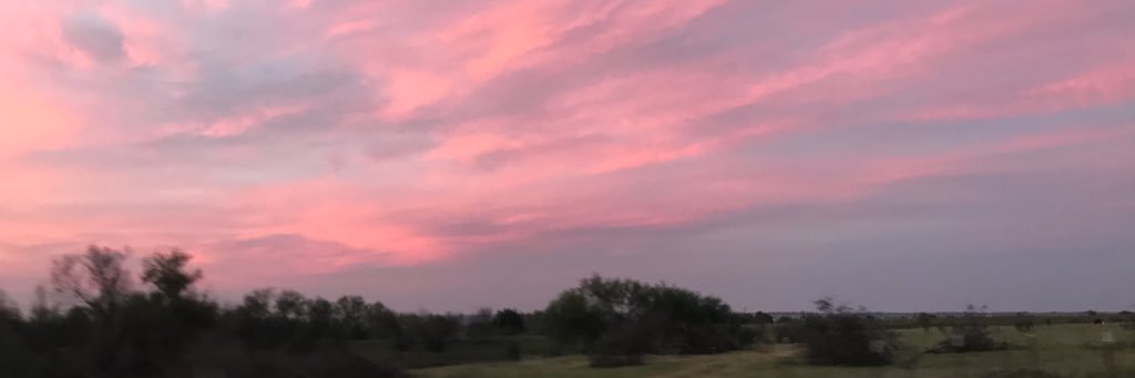 cameronbaII's profile banner image