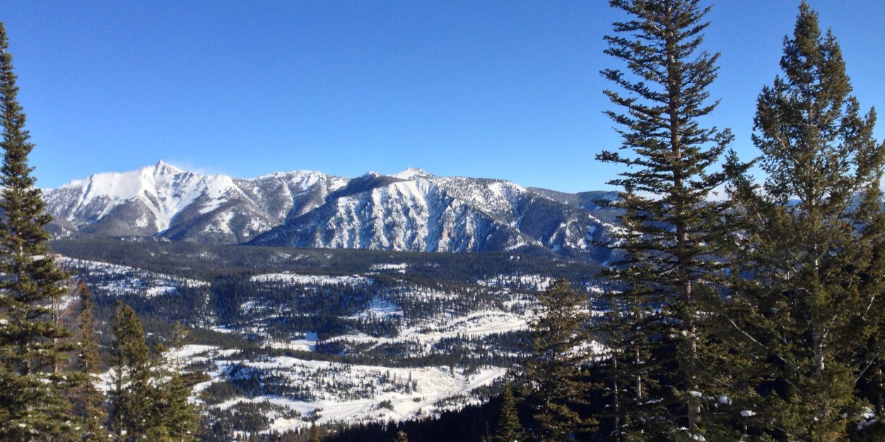 Robert Paxton banner