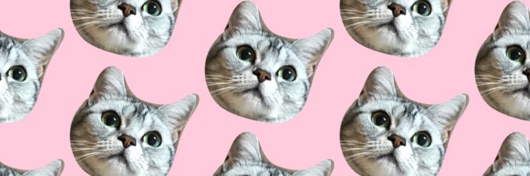 rui241018's profile banner image