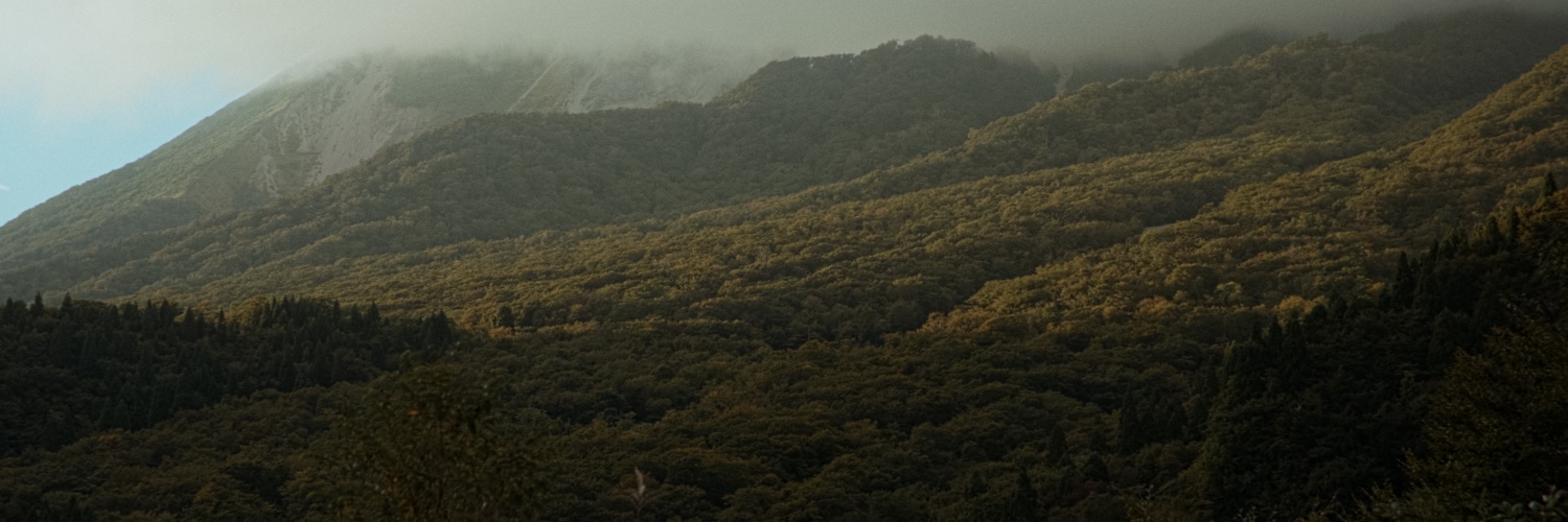 large_disk's profile banner image