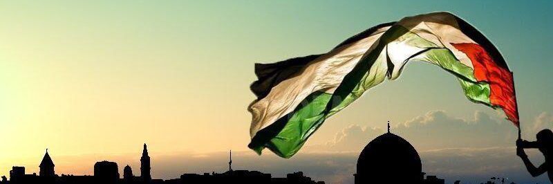 MOHAMED KHAFAGY banner