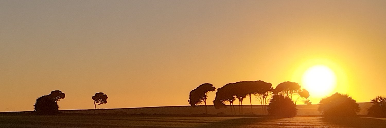 Etelbap's profile banner image