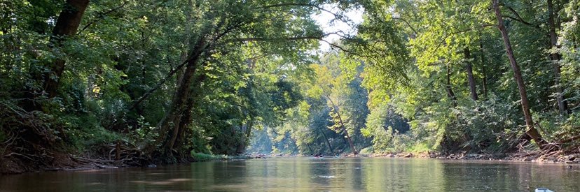 grace greenwell banner