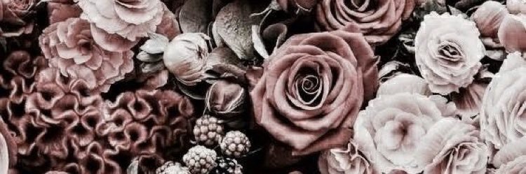 ItsJarmeese's profile banner image