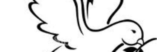 evgreenberg's profile banner image