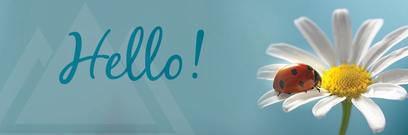 elevatecu's profile banner image