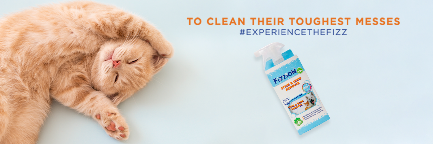 Fizzionclean's profile banner image