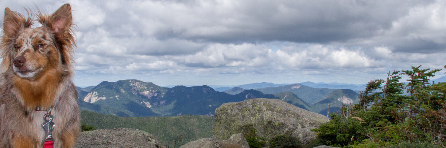 Chris Cappelletti banner