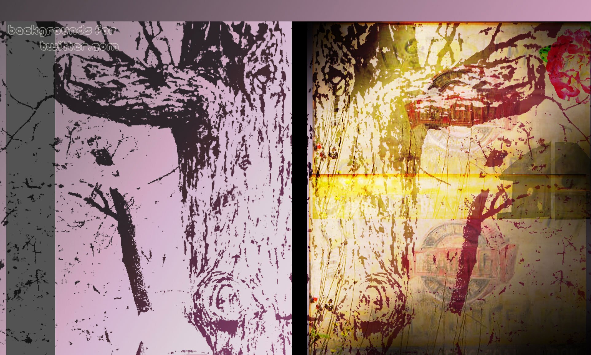 sanchaadango8's profile banner image