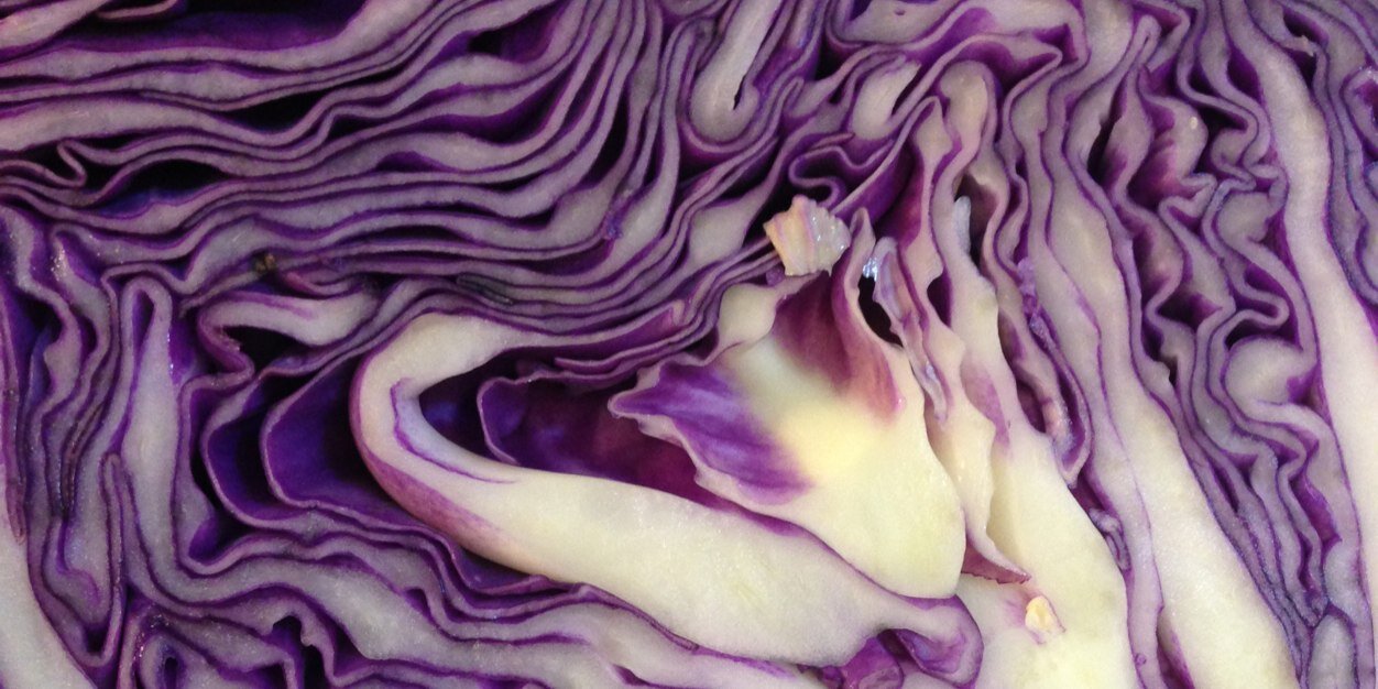 EATthisCITYsea's profile banner image